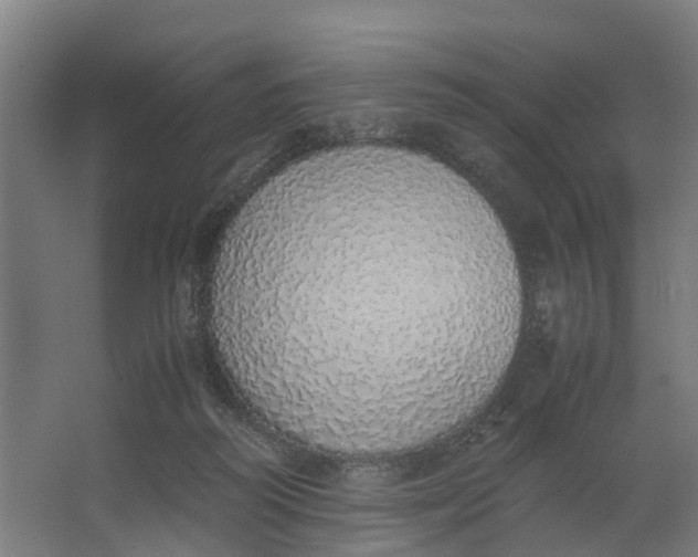 X0000062900218200601271722