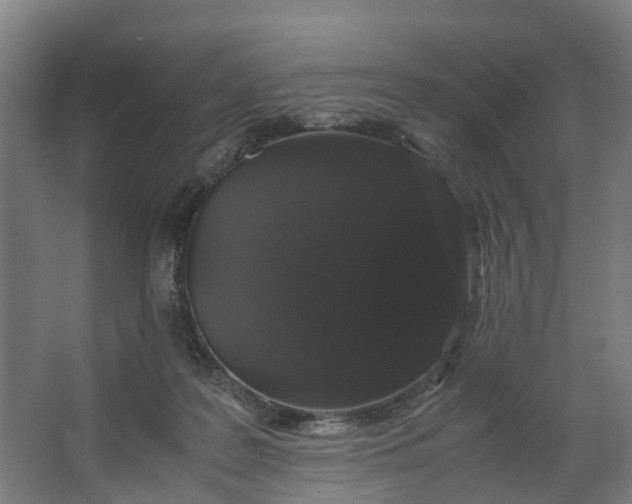 X0000062900219200601271722