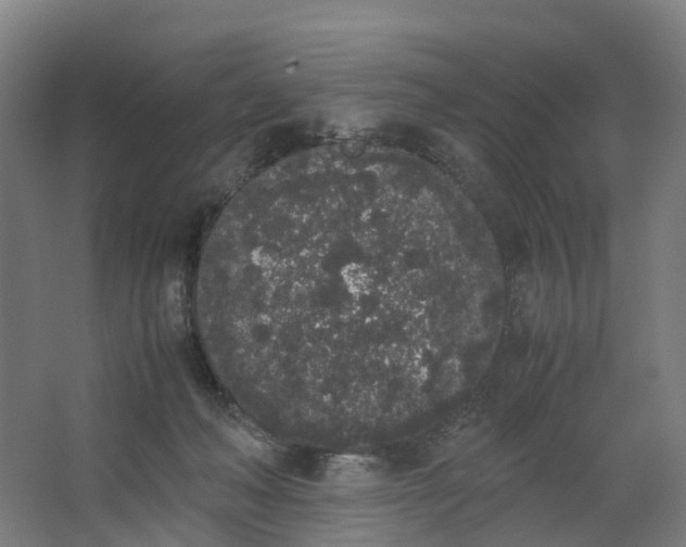 X0000062900222200601271722