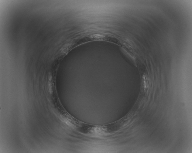 X0000062900223200601271722