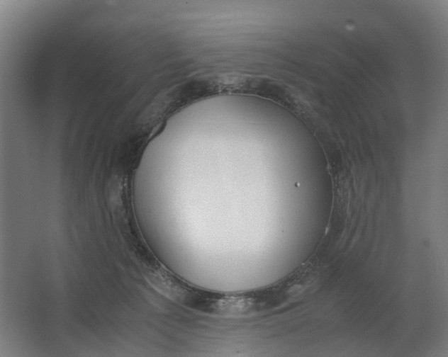 X0000062900225200601271722