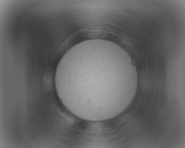 X0000062900226200601271722