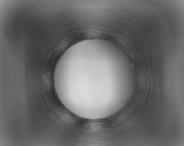 X0000062900228200601271722