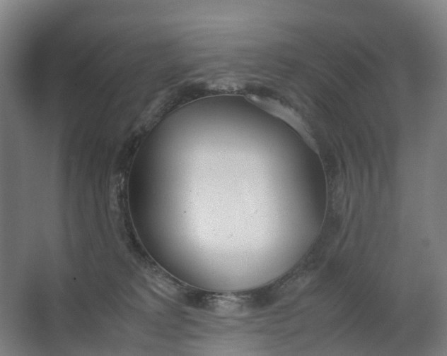 X0000062900229200601271722