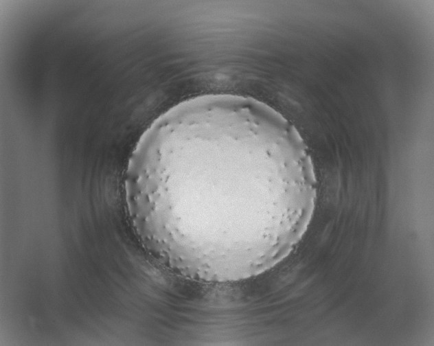 X0000062900230200601271722