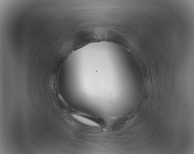 X0000062900233200601271722