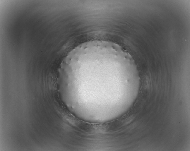 X0000062900234200601271722