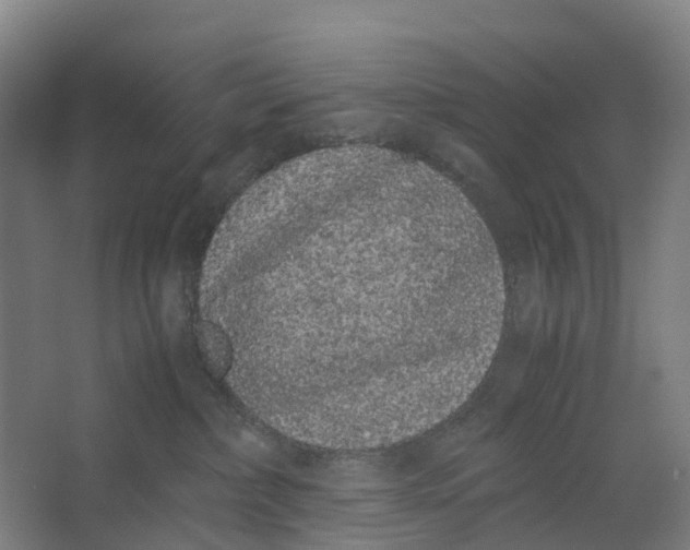 X0000062900236200601271722