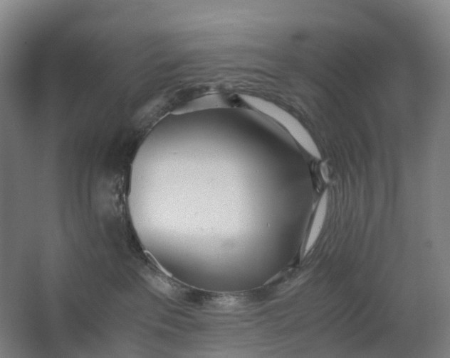 X0000062900237200601271722