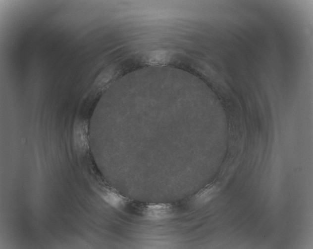 X0000062900240200601271721