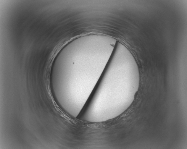 X0000062900241200601271721