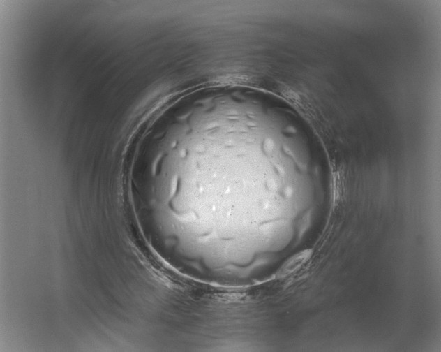 X0000062900243200601271721