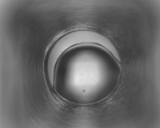 X0000062900244200601271721