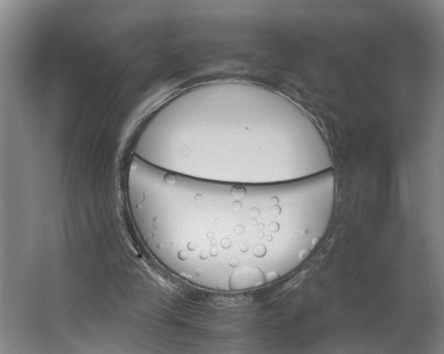 X0000062900245200601271721