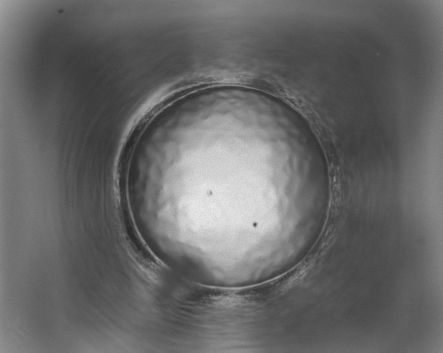 X0000062900246200601271721