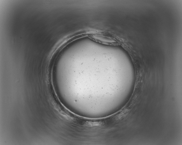 X0000062900247200601271721