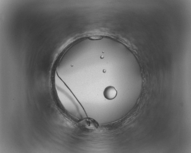 X0000062900248200601271721