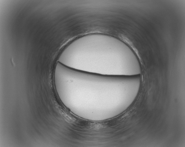 X0000062900249200601271721