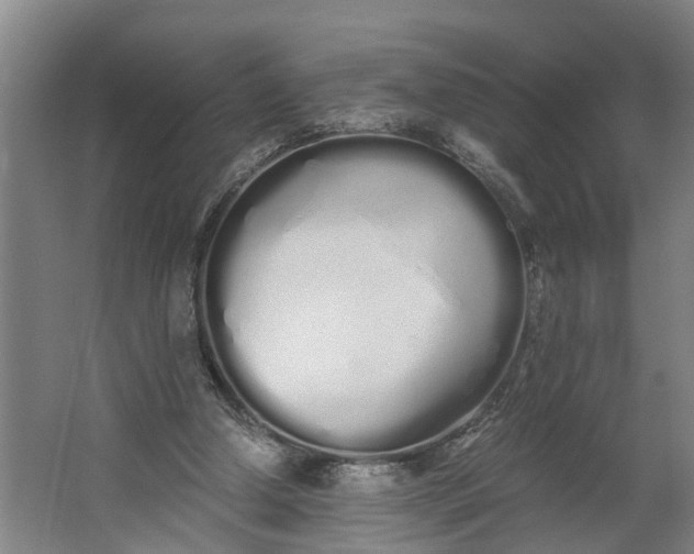 X0000062900250200601271721