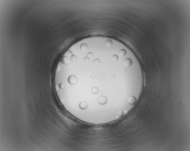 X0000062900253200601271721