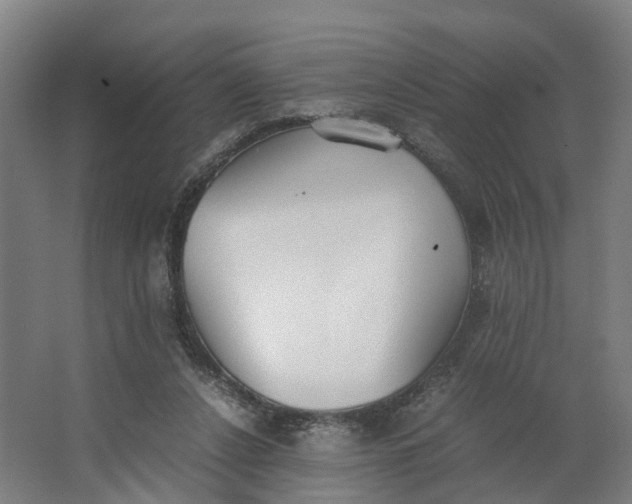 X0000062900256200601271721