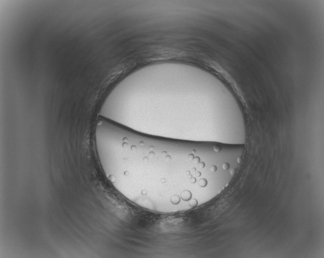 X0000062900257200601271721