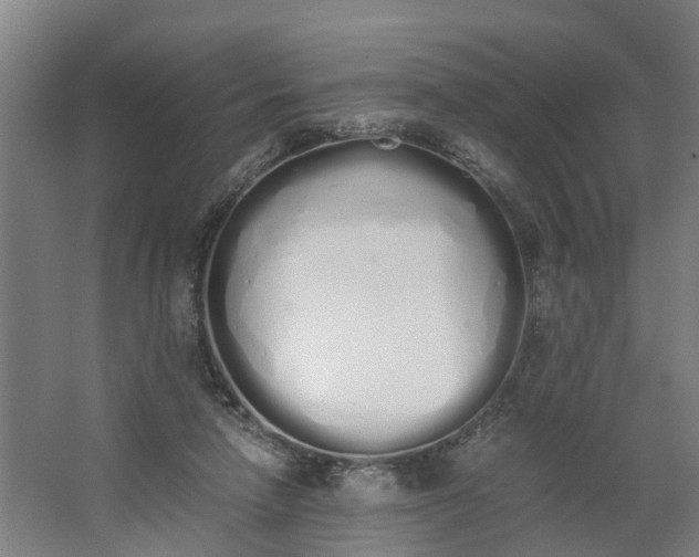 X0000062900258200601271721