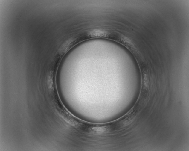 X0000062900259200601271721