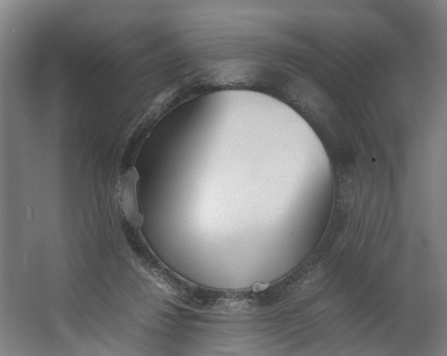 X0000062900260200601271721