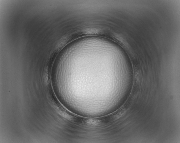 X0000062900261200601271721