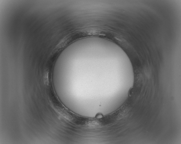 X0000062900262200601271721