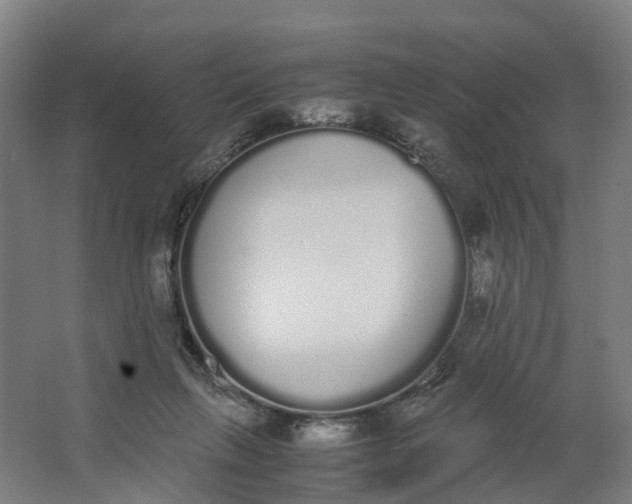 X0000062900263200601271721