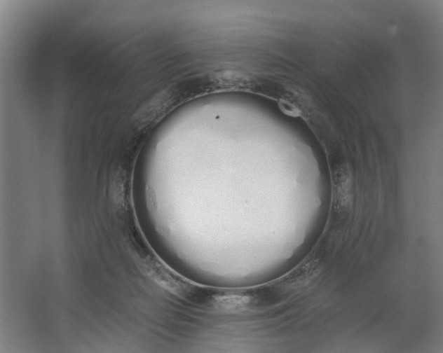 X0000062900266200601271721