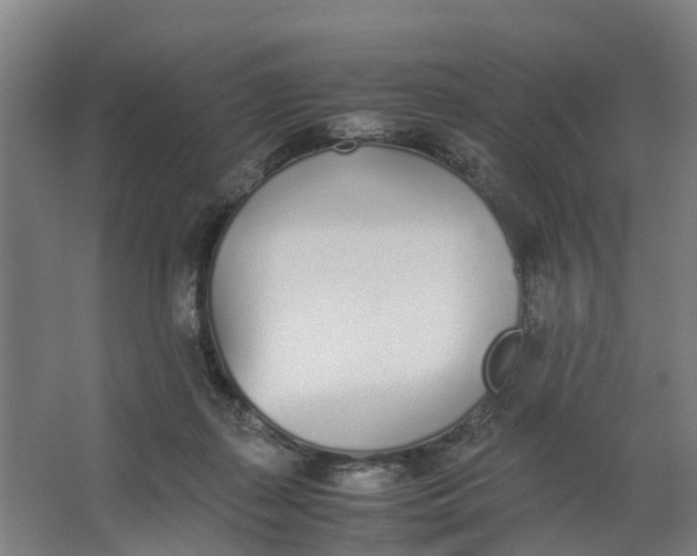 X0000062900267200601271721