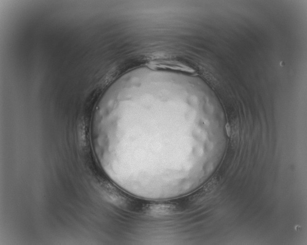 X0000062900268200601271721