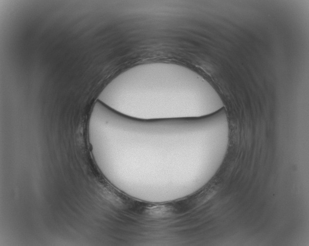 X0000062900269200601271721