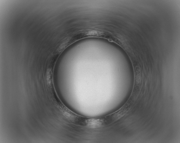 X0000062900273200601271721