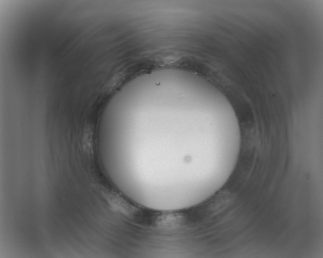 X0000062900274200601271721