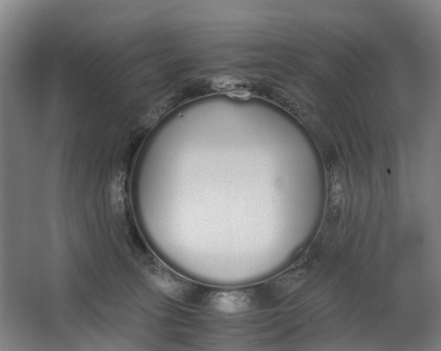 X0000062900275200601271721