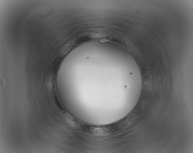 X0000062900277200601271721