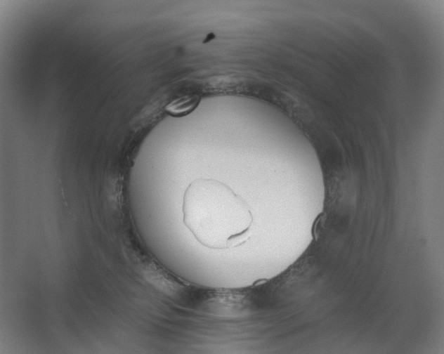 X0000062900278200601271721