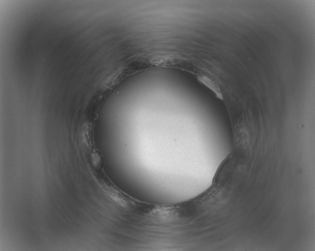 X0000062900280200601271721