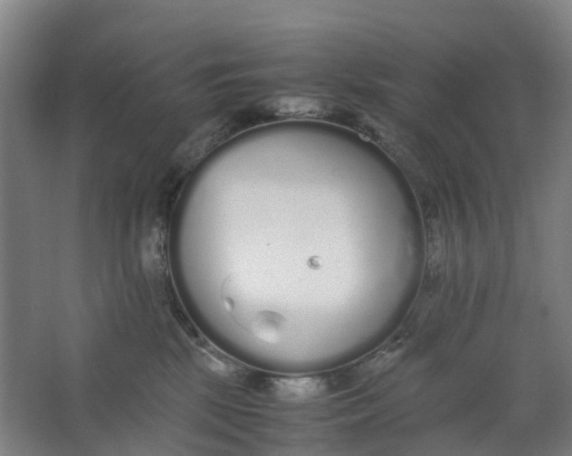 X0000062900281200601271721