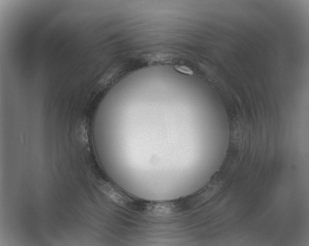 X0000062900282200601271721