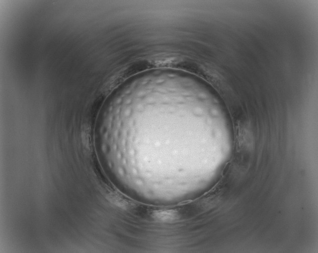 X0000062900283200601271721