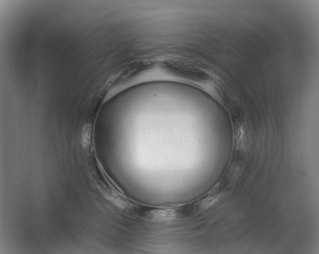 X0000062900284200601271721