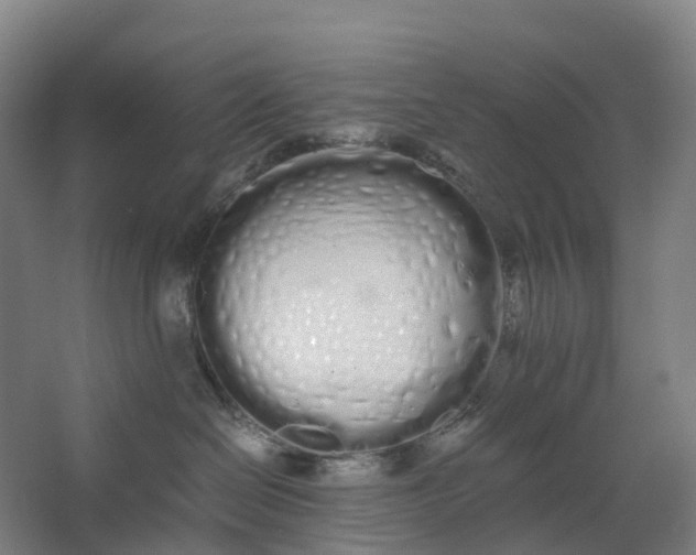 X0000062900286200601271721