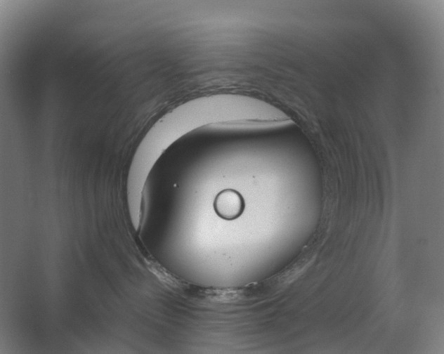 X0000062900288200601271721