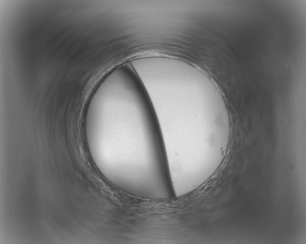 X0000062900289200601271721