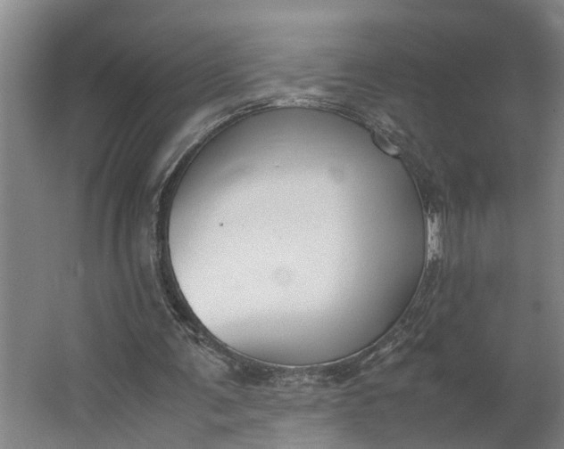 X0000062900291200601271721